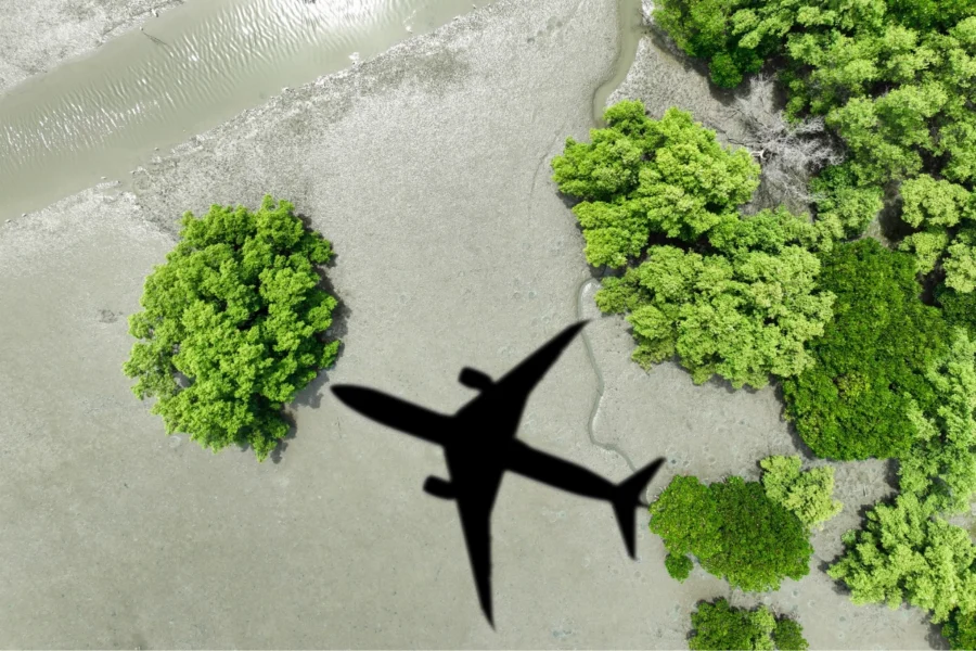 Sustainability in Aviation HR