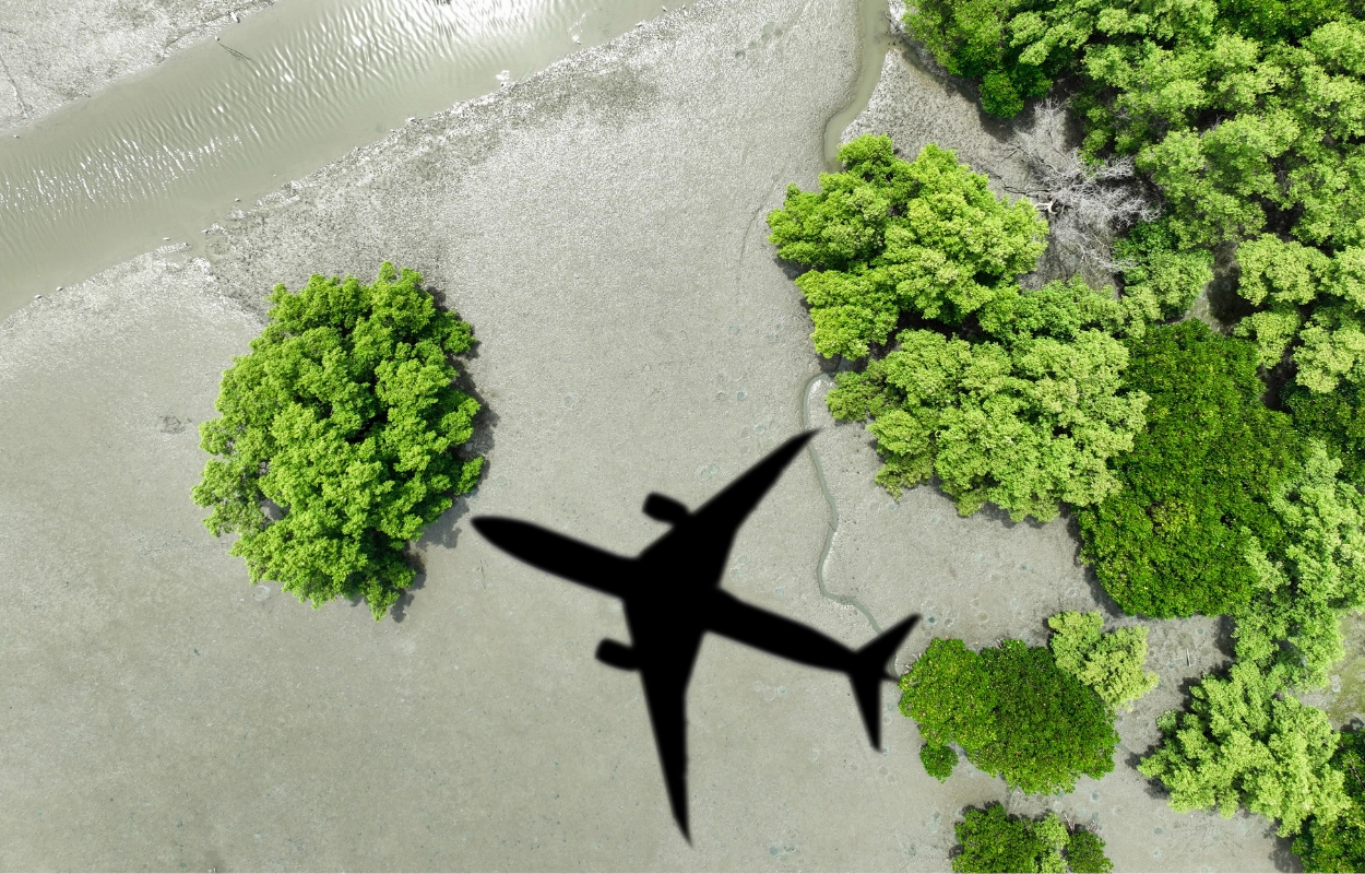 Sustainability in Aviation HR: The Role of Aeroates